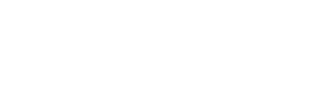 The Webshop Success Hub
